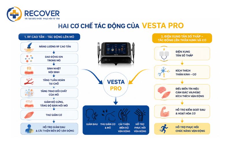 vật lý trị liệu